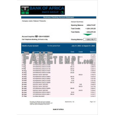 Bank of Africa enterprise fake business bank statement  Word and PDF template