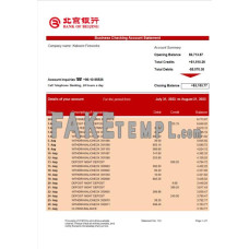 Bank of Beijing firm fake business bank statement  Word and PDF template