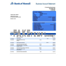 Bank of Hawaii firm fake business bank statement  Word and PDF template