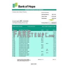 Bank of Hope company checking fake business bank statement  Word and PDF template