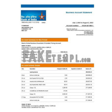 Bank of India company checking fake business bank statement  Word and PDF template