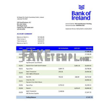 Bank of Ireland enterprise fake business bank statement  Word and PDF template