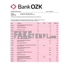 Bank of the Ozarks fake business bank statement  Word and PDF template