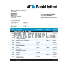 BankUnited fake business bank statement  Word and PDF template