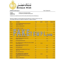 Banque Misr fake business bank statement  Word and PDF template