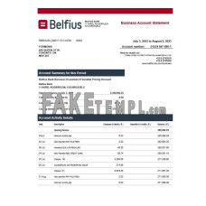 Belfius fake business bank statement  Word and PDF template