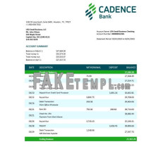 Cadence fake business bank statement  Word and PDF template