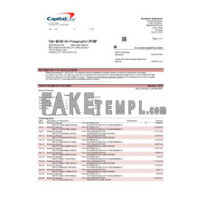 Capital One fake business bank statement  Word and PDF template