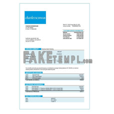 Charles Schwab fake business bank statement  Word and PDF template