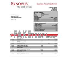 Synovus fake business bank statement  Word and PDF template