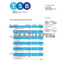 TSB fake business bank statement  Word and PDF template