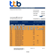 TTB fake business bank statement  Word and PDF template