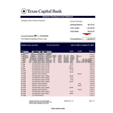 Texas Capital fake business bank statement  Word and PDF template