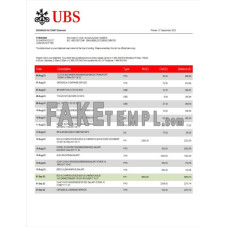 UBS fake business bank statement  Word and PDF template