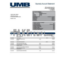 UMB fake business bank statement  Word and PDF template