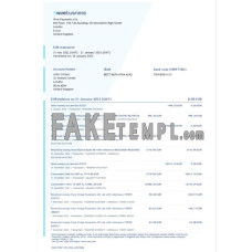 United Kingdom Wise fake business bank statement  Word and PDF template