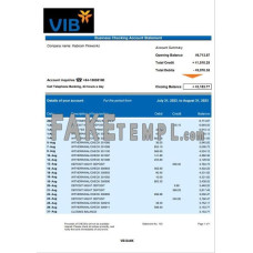 VIB fake business bank statement  Word and PDF template