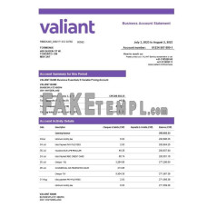 Valiant fake business bank statement  Word and PDF template