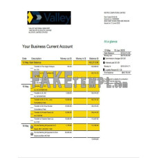 Valley National fake business bank statement  Word and PDF template