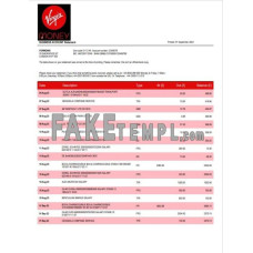 Virgin Money fake business bank statement  Word and PDF template