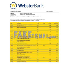 Webster fake business bank statement  Word and PDF template