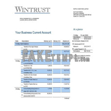 Wintrust Financial fake business bank statement  Word and PDF template