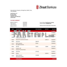 Ziraat Bankasi fake business bank statement  Word and PDF template