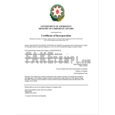 Azerbaijan fake business registration certificate Word and PDF template