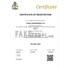 Bahamas fake business registration certificate Word and PDF template