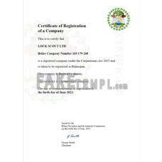 Belize fake business registration certificate Word and PDF template