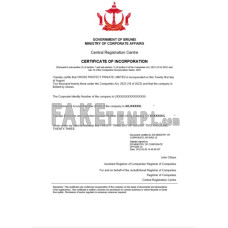 Brunei fake business registration certificate Word and PDF template