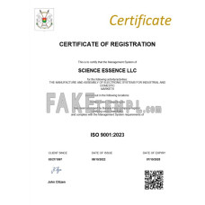 Burkina faso fake business registration certificate Word and PDF template