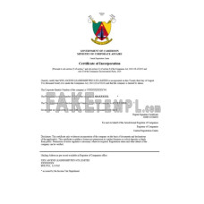 Cameroon fake business registration certificate Word and PDF template