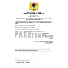 Chad fake business registration certificate Word and PDF template