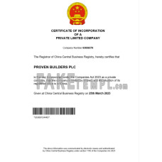 China fake business registration certificate Word and PDF template