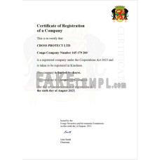 Congo fake business registration certificate Word and PDF template