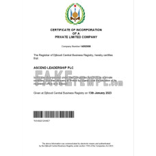 Djibouti fake business registration certificate Word and PDF template