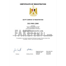 Egypt fake business registration certificate Word and PDF template