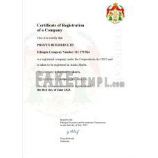 Ethiopia fake business registration certificate Word and PDF template