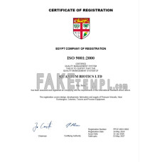 Fiji fake business registration certificate Word and PDF template