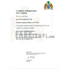 Gambia fake business registration certificate Word and PDF template