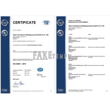 Germany DQS fake business registration certificate Word and PDF template