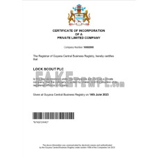 Guyana fake business registration certificate Word and PDF template