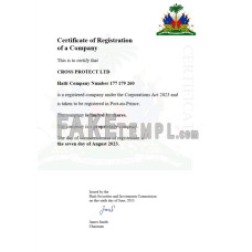 Haiti fake business registration certificate Word and PDF template