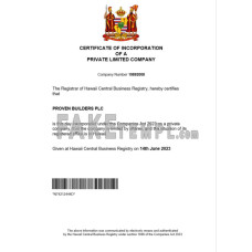 Hawaii fake business registration certificate Word and PDF template