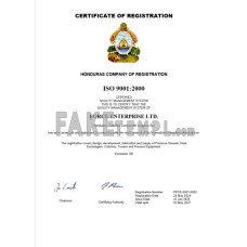 Honduras fake business registration certificate Word and PDF template