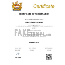 Hong Kong fake business registration certificate Word and PDF template