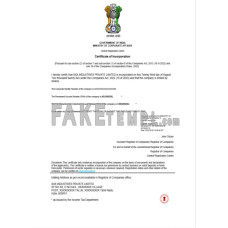 India fake certificate of incorporation registration Word and PDF template, version 2