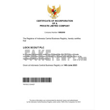 Indonesia fake business registration certificate Word and PDF template