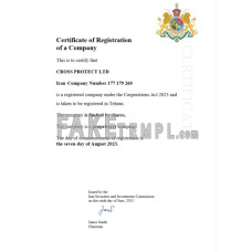 Iran fake business registration certificate Word and PDF template